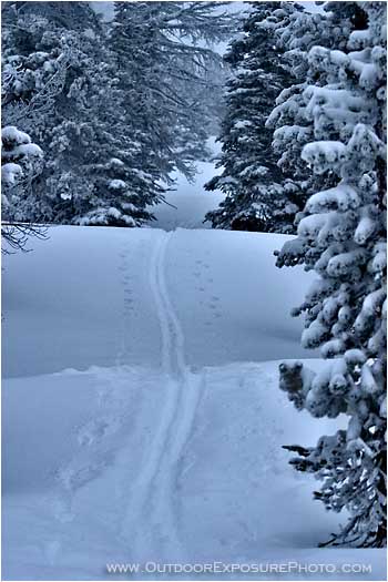 Trail Break Stock Image Cascade Range, Central Oregon Trail Break Stock Image Cascade Range, Central Oregon
