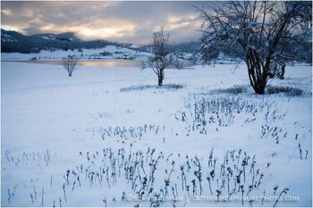 Winter Snow 2 Stock Image, rogue valley, oregon Winter Snow 2 Stock Image, rogue valley, oregon