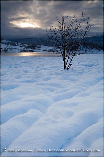 Winter Snow 4 Stock Image, rogue valley, oregon Winter Snow 4 Stock Image, rogue valley, oregon