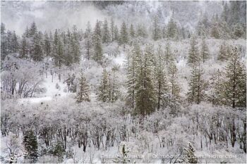Winter Snow 5 Stock Image, rogue valley, oregon Winter Snow 5 Stock Image, rogue valley, oregon
