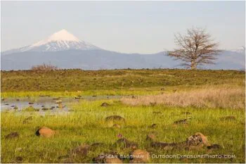 Mt. McLoughlin From Upper Table Rock 1 Stock Image, Mt. McLoughlin From Upper Table Rock 1 Stock Image,