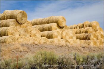 Hay Rolls 1 Stock Image, Hay Rolls 1 Stock Image,