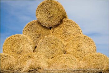 Hay Rolls 2 Stock Image, Hay Rolls 2 Stock Image,