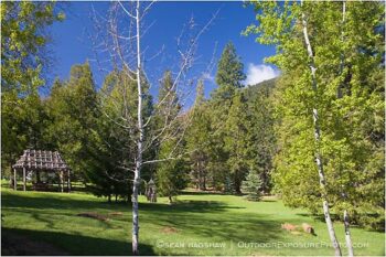 Forest Park Stock Image Forest Park Stock Image