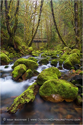 Forest Stream 6 Stock Image, Forest Stream 6 Stock Image,