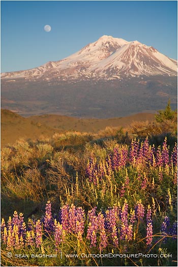 Mt. Shasta 2 Stock Image, Mt. Shasta 2 Stock Image,