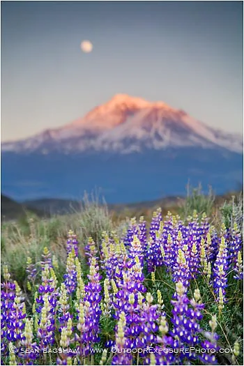 Mt. Shasta 3 Stock Image, Mt. Shasta 3 Stock Image,