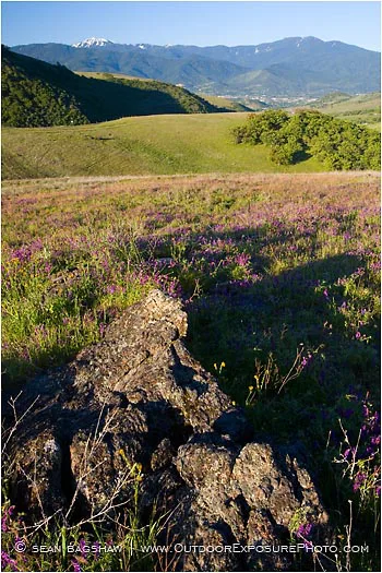 Ashland Hills Stock Image, Dead Indian Memorial Highway, Ashland, Oregon Ashland Hills Stock Image, Dead Indian Memorial Highway, Ashland, Oregon