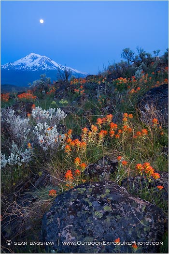 Shasta Nightfall Stock Image, Mt. Shasta Shasta Nightfall Stock Image, Mt. Shasta