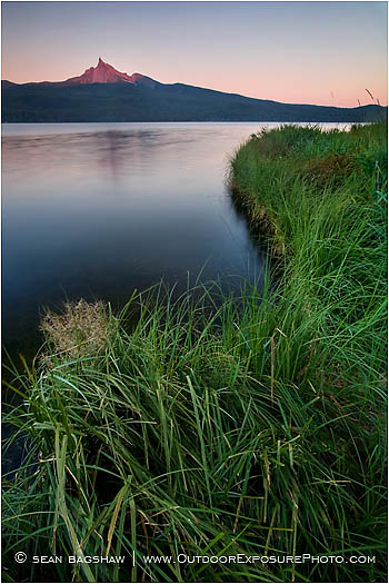 Halcyon Stock Image, Southern Oregon Halcyon Stock Image, Southern Oregon