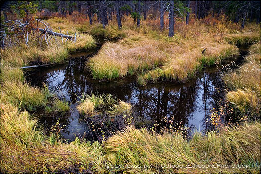 Serpentine Stream Stock Image, Idaho Serpentine Stream Stock Image, Idaho