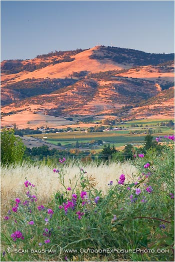 Rogue Valley 13 Stock Image, medford, oregon Rogue Valley 13 Stock Image, medford, oregon