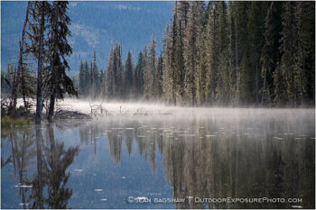 Misty Forest Lake Stock Image, Misty Forest Lake Stock Image,