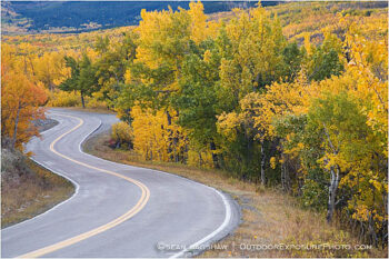 Country Road in Fall 2 Stock Image, Montana
