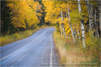 Country Road in Fall 1 Stock Image, Montana