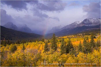 Montana Fall Foliage 2 Stock Image, Montana Fall Foliage 2 Stock Image,