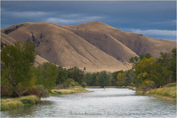 East Fork of The Salmon River Stock Image East Fork of The Salmon River Stock Image