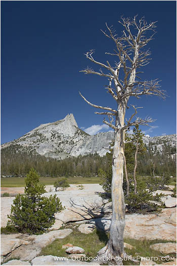 Cathedral Peak And Tree Stock Image, Yosemite, California Cathedral Peak And Tree Stock Image, Yosemite, California