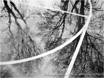 Park Block Reflection Stock Image Park Block Reflection Stock Image