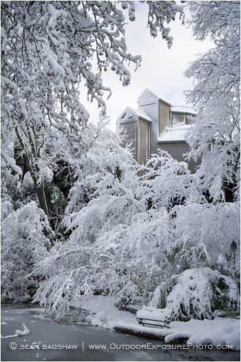 The Winter’s Tale Stock Image, Oregon The Winter’s Tale Stock Image, Oregon