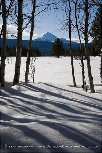 Mt. McLoughlin and Aspens 1 Stock Image, Mt. McLoughlin and Aspens 1 Stock Image,