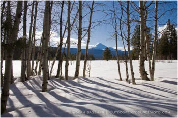 Mt. McLoughlin and Aspens 2 Stock Image, Mt. McLoughlin and Aspens 2 Stock Image,
