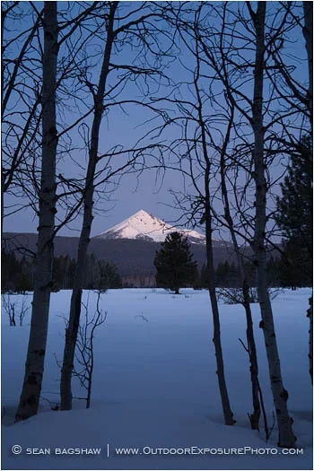 Mt. McLoughlin and Aspens 3 Stock Image, Mt. McLoughlin and Aspens 3 Stock Image,