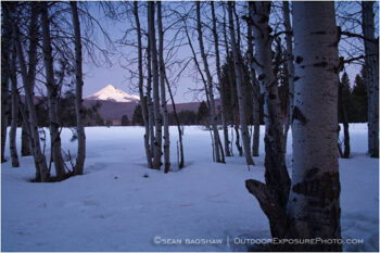 Mt. McLoughlin and Aspens 4 Stock Image, Mt. McLoughlin and Aspens 4 Stock Image,