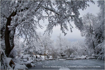 Lithia Park in Snow 1 Stock Image, Ashland, Oregon Lithia Park in Snow 1 Stock Image, Ashland, Oregon