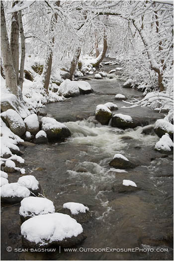 Lithia Park in Snow 4 Stock Image, ashland, oregon Lithia Park in Snow 4 Stock Image, ashland, oregon