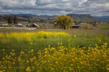 Rogue Valley Farmland 3 Stock Image, Southern Oregon Rogue Valley Farmland 3 Stock Image, Southern Oregon