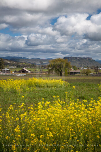 Rogue Valley Farmland 4 Stock Image, Southern Oregon Rogue Valley Farmland 4 Stock Image, Southern Oregon