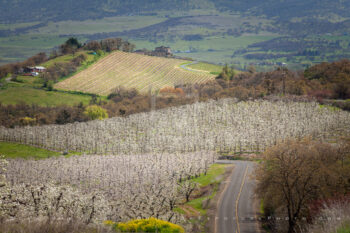 Rogue Valley Farmland Stock Image, Oregon 2 Stock Images, Oregon Rogue Valley Farmland Stock Image, Oregon 2 Stock Images, Oregon