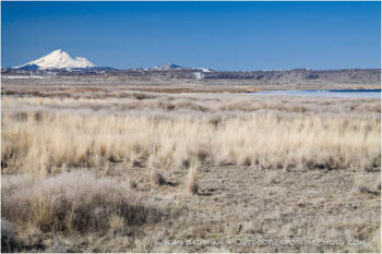 Wildlife Refuge 2 Stock Image, Klamath Falls, Oregon Wildlife Refuge 2 Stock Image, Klamath Falls, Oregon