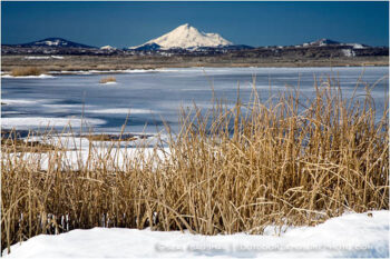 Wildlife Refuge 4 Stock Image, Klamath Falls, Oregon Wildlife Refuge 4 Stock Image, Klamath Falls, Oregon