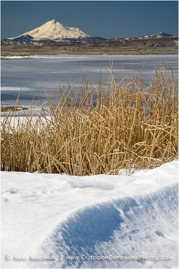 Wildlife Refuge 5 Stock Image, Klamath Falls, Oregon Wildlife Refuge 5 Stock Image, Klamath Falls, Oregon