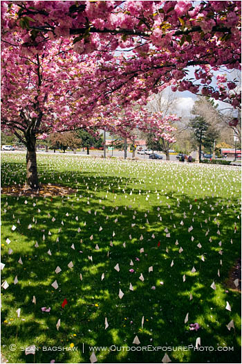 Iraq War Memorial Stock Image, ashland, oregon Iraq War Memorial Stock Image, ashland, oregon