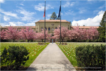 Iraq War Memorial 2 Stock Image, ashland, oregon Iraq War Memorial 2 Stock Image, ashland, oregon