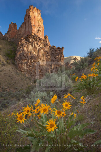 Leslie Gulch 2 Stock Image, Eastern Oregon Leslie Gulch 2 Stock Image, Eastern Oregon