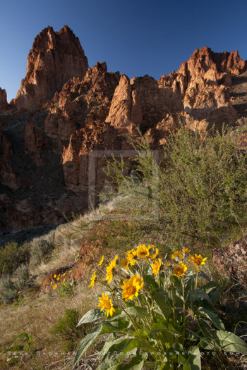 Leslie Gulch 5 Stock Image, Eastern Oregon Leslie Gulch 5 Stock Image, Eastern Oregon