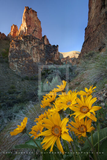 Leslie Gulch Stock Image, Oregon Leslie Gulch Stock Image, Oregon