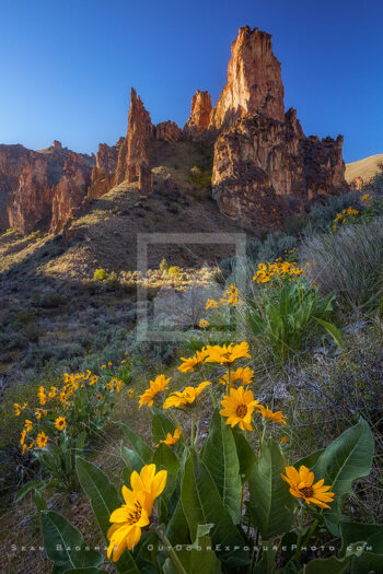 Leslie Gulch 2 Stock Image, Oregon