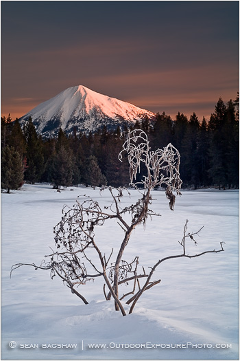 Frost Glow Stock Image, Mt. McLoughlin, Oregon Frost Glow Stock Image, Mt. McLoughlin, Oregon