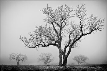 Someday Gray Stock Image, rogue valley, oregon Someday Gray Stock Image, rogue valley, oregon