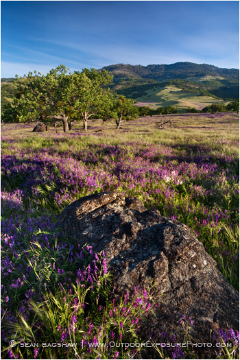 Perfect Spring Stock Image, Ashland, Oregon Perfect Spring Stock Image, Ashland, Oregon