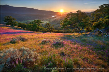 Greensprings Sunset Stock Image, Ashland, Oregon Greensprings Sunset Stock Image, Ashland, Oregon