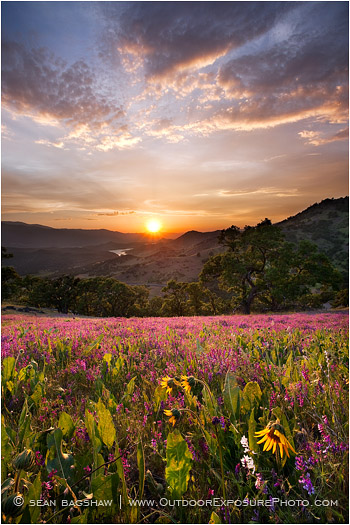 Greensprings Sunset II Stock Image, Ashland, Oregon Greensprings Sunset II Stock Image, Ashland, Oregon