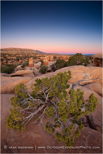 Devil’s Garden Stock Image, Devil’s Garden, Utah Devil’s Garden Stock Image, Devil’s Garden, Utah