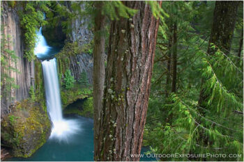 Toketee Falls Stock Image North Umpqua River, Oregon Toketee Falls Stock Image North Umpqua River, Oregon