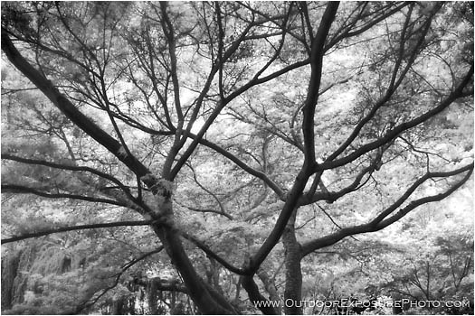 Reach Stock Image Reach Stock Image